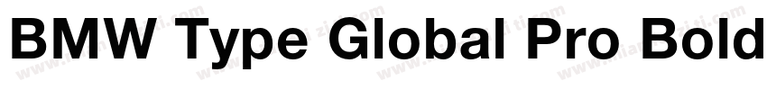 BMW Type Global Pro Bold Italic字体转换